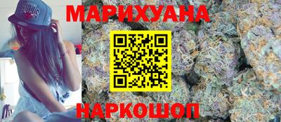 индика Обь