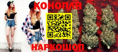 метадон Новодвинск
