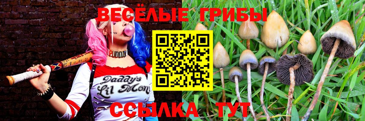 Псилоцибиновые грибы ЛСД Истра